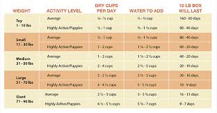 66 Scientific How Much To Feed Your Puppy
