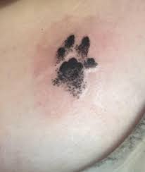 The cat paw print is small and can have. Tattoo Of My Cat S Paw Print Done By Blaine At Art And Soul In Michigan Tattoos