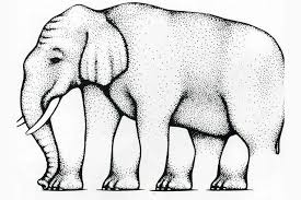 Image result for Perception Exam