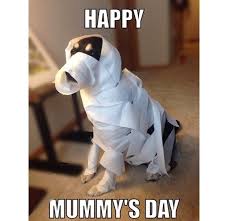 Mothers Day Meme Dog Dog Mothers Day Mothers Day Meme Dog Memes