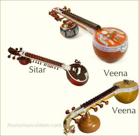 Image result for pics of types veena"