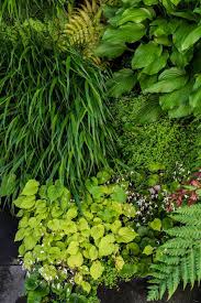 See more of joleen vom förstergarten das kleinste pony mit dem größten herz on facebook. Forster Garten Landschaftsbau Startseite Facebook