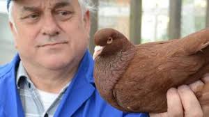 Karl Oehler: Rassegeflügelzüchter aus Leidenschaft