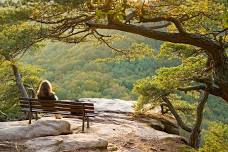 Meditation Retreat | Shabbat in Shenandoah