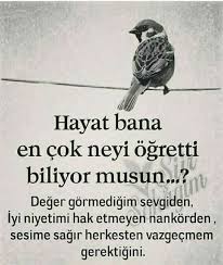 Gulmira Ibrahimoglu Adli Kullanicinin Nesem Panosundaki Pin Guzel Soz Ilham Veren Alintilar Ozlu Sozler