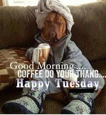 Tuesday, the day of thinking about the mixture of happy and problematic thoughts. Happy Tuesday Funny Quotes Pictures Images And Meme Mycontentstore