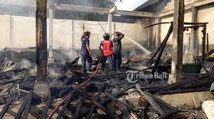 Info cpns 2021, lowongan cpns 2021, pengumuman cpns, berita cpns 2021, formasi cpns 2021, pendaftaran cpns 2021, cpns kabupaten, kota, cpns kementerian Pangat Sudah Diwanti Tak Bakar Sampah Ruangan Penuh Barang Antik Ludes Terbakar Tribun Bali