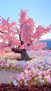 Pink Blossom Beauty Video In 2020 Nature Photography Beautiful Photos Of Nature Beautiful Nature Scenes