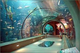 Oregon Coast Aquarium Tunnel Newport Aquarium Road Trip Across America Oregon Coast