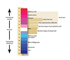 How To Calculate Ph In Chemistry Albert Io