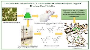 Image result for Carrichtera annua