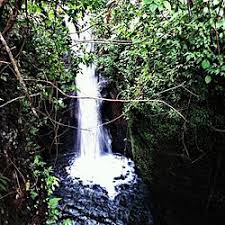 Air terjun dung paso, songgo langit, kedungombo, jurang ngaten, sumenep, grenjengan dowo, nongko pace, dll. Eloknya 81 Tempat Wisata Di Jepara Jawa Tengah Trip Jalan Jalan