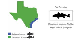 Planning To Buy A Texas Fishing License Heres What You