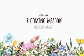 Watercolor Wildflower Floral Frame Border Clipart Wreath Etsy In 2020 Flower Backgrounds Clip Art Borders Watercolour Wedding Stationery