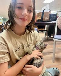 title Harley Spruce is a classic tortie—sweet, sassy and full of  personality. She was adopted as a kitten but returned when it became clear  she's not suited for young kids. Now in