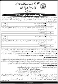 National Institute Of Banking Amp Finance Islamabad Jobs August 2019 Published 2019 08 03 See All Jobs At Https Finance Jobs Finance Job Advertisement