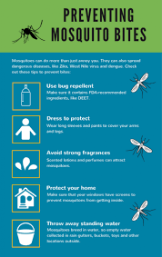 Alert! West Nile Virus Has Been Detected In Mosquitoes In Waltham  (Warrendale & Lakeview Area) | Walthamma
