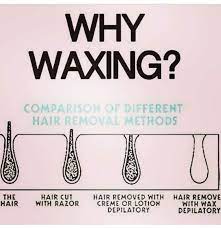 This Is Why Waxing Keeps You So Smooth For So Long Dayton Ohio Waxing Eyebrowwaxing Brazilianwaxing Mensbraz Waxing Quotes Esthetician Quotes Wax Studio