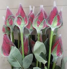 Make sure your device has the latest version of ios or ipados, or macos. Rose Bud Cap At Rs 400 Kilogram Flower Bud Net Id 18638084188