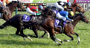 é«˜æ¾å®®è¨˜å¿µ2020 äºˆæƒ³ã‚ªãƒƒã‚ºã¨ç©´é¦¬æƒ…å ± 3é€£å˜6ç‚¹å‹è²  3é€£å˜6ç‚¹å‹è²  ç«¶é¦¬ã§å¤¢ã‚'å¶ãˆã‚‹ 3é€£å˜ç«¶é¦¬äºˆæƒ³ã«å½¹ç«‹ã¤æƒ…å ±ãŒæº€è¼‰ã§ã™