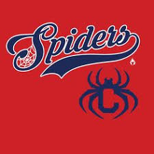 Among the most popular names pushed by fans on social media are the spiders. 10 Cleveland Spiders Ideas Cleveland Cleveland Indians Spider