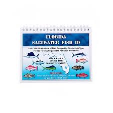 Folsom Of Florida Saltwater Fish Florida Id Chart