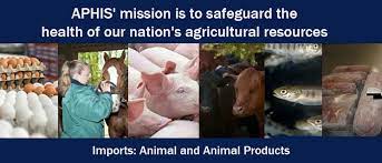 Leave yourself plenty of time a great place to start is the pet travel websiteexternal icon of the us department of agriculture's animal and plant health inspection service (aphis). Usda Aphis Imports Animal And Animal Products