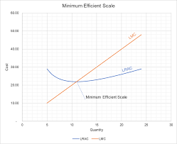 Minimum Efficient Scale And Lrac Graph And Example