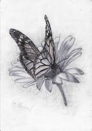 This is my first timelapse drawing videoapproximately 1 hour total timematerials :faber castell colour pencils a4 drawing paperfollow meinstagram. Orasnap Easy Realistic Butterfly To Draw