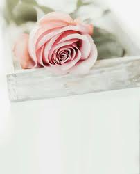 بوكية و رد متحرك تحملة يد. ØµÙˆØ± Ø¨Ù†Ø§Øª Ù…Ø¹ ÙˆØ±Ø¯ Ù„Ù„ÙƒØªØ§Ø¨Ø© Ø¹Ù„ÙŠÙ‡Ø§ ØµÙˆØ± ÙˆØ±Ø¯ Ø®Ù„ÙÙŠØ§Øª Ø§Ø¬Ù…Ù„ Ø±Ù…Ø²ÙŠØ§Øª Ø¨Ø§Ù„ÙˆØ±Ø¯ Ø·Ù‚Ø·Ù‚Ù‡