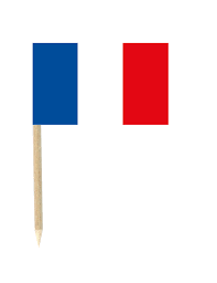 Elke dag worden duizenden nieuwe afbeeldingen. Set Van 50 Mini Prikkers Franse Vlag Decoratie En Goedkope Carnavalskleding Vegaoo