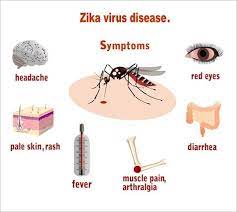 Symptoms of the zika virus are usually mild. Symptoms Of Zika Virus Infection Guillain Barr Syndrome Has Been Download Scientific Diagram