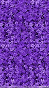 Here you can find the best purple background wallpapers uploaded by our community. Free 30 Purple Iphone Backgrounds In Psd Ai