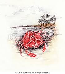 See more ideas about ballpoint pen drawing, pen drawing, ballpoint pen. Red Crab Color Animal Drawing Illustration With Ballpoint Pen Crab Color Animal Drawing Illustration With Ballpoint Pen Canstock