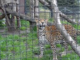 Maybe you would like to learn more about one of these? Zoo Picture Of Zoo Zamosc Zamosc Tripadvisor