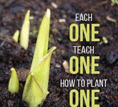 The true meaning of life is to plant trees, under whose shade you do not expect to sit. Green The Color Of Life The Color Of The Trees And The Only Sign That A Piece Of Land Or S Go Green Slogans Slogan On Save Environment Slogan On Environment