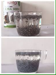 Chia seed has attracted a lot of interest from malaysians lately. Beza Chia Seed Dengan Biji Selasih Ayue Idris