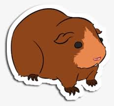 To clarify the list of pictures that you see: Guinea Pig Png Download Transparent Guinea Pig Png Images For Free Nicepng