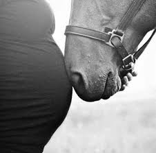 Profile for Natural Horsemanship by Chloe Ewart