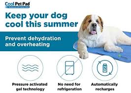 When the temps get hot your pet can keep it cool without breaking a sweat when you have a cooling pet mat by american kennel club. Amazon Com The Green Pet Shop Dog Cooling Mat Pressure Activated Gel Cooling Mat For Dogs Extra Large Size This Pet Cooling Mat Keeps Dogs And Cats Comfortable All Summer