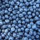 Orange City Blueberry Fest — Visit West Volusia event image