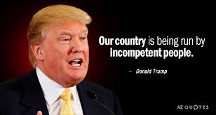 We did not find results for: Donald Trump Quotes On Building A Business 12 Donald Trump Quotes To Make You Think Big In Life Motivationgrid Dogtrainingobedienceschool Com