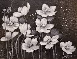 Black And White Canvas Painting For Beginners Black And White Poppies Floral Acrylic Painting Tutorial By Angela Anderson On Youtube Https Yo Simple Acrylic Paintings Painting Tutorial Painting