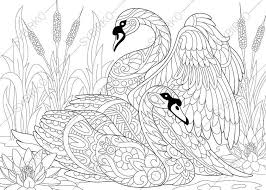 Pin On Para Colorear
