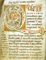 At7990 136 46v Jpg 943 1222 Book Of Kells Illuminated Manuscript Illustrated Manuscript