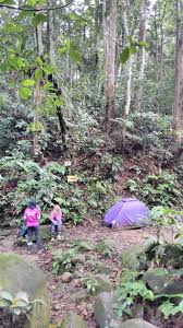 Also known as mount ophir, gunung ledang (mount ledang) is steep both in height and the legend and folklore that surrounds it. Gunung Nuang When The Kids Are United They Will Never Will Divided