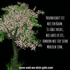 Freunde Baum Wurzel Freundschaft Spruch