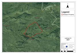 Image result for Aspidoglossum hirundo