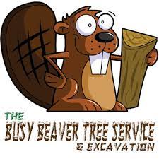 The Busy Beaver Tree Service Excavation Home Facebook