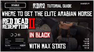 Elite white arabian horse rdr2. How To Find And Get The Best Elite Arabian Horse Red Dead Redemption 2 Tutorial Guide Youtube